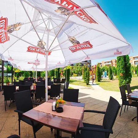 And Orchid Noks Солнечный берег