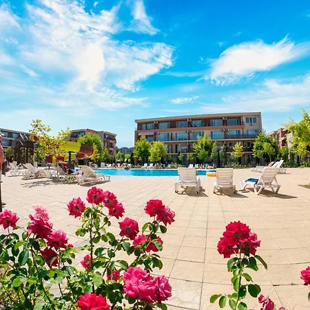 And Orchid Noks Солнечный берег