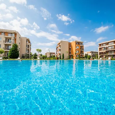 And Orchid Noks * Солнечный берег